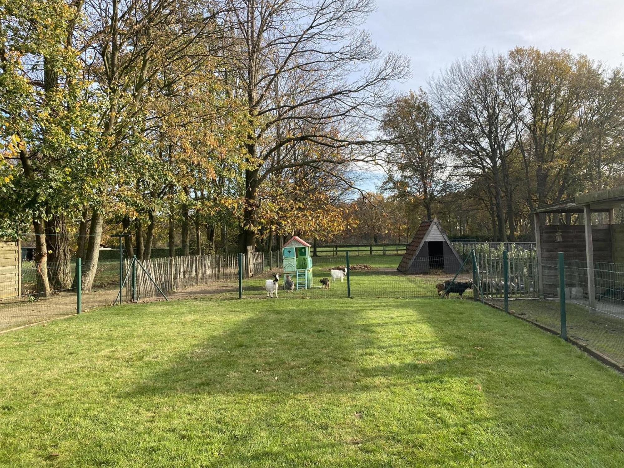 Villa Het Bruegelhof à Peer Extérieur photo